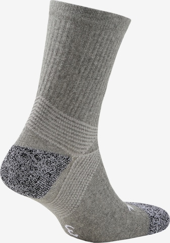 Chaussettes de sport 'Team Liga' PUMA en gris