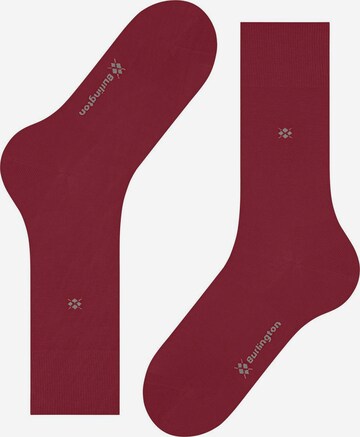 BURLINGTON Socken in Rot