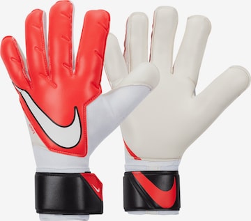 NIKE Athletic Gloves in Mixed colors: front