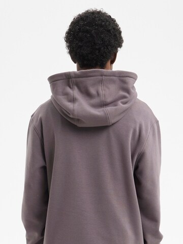 hydroponic - Sudadera 'Hydroponic Regular-Fit Brand Embroidered Hoodie' en gris