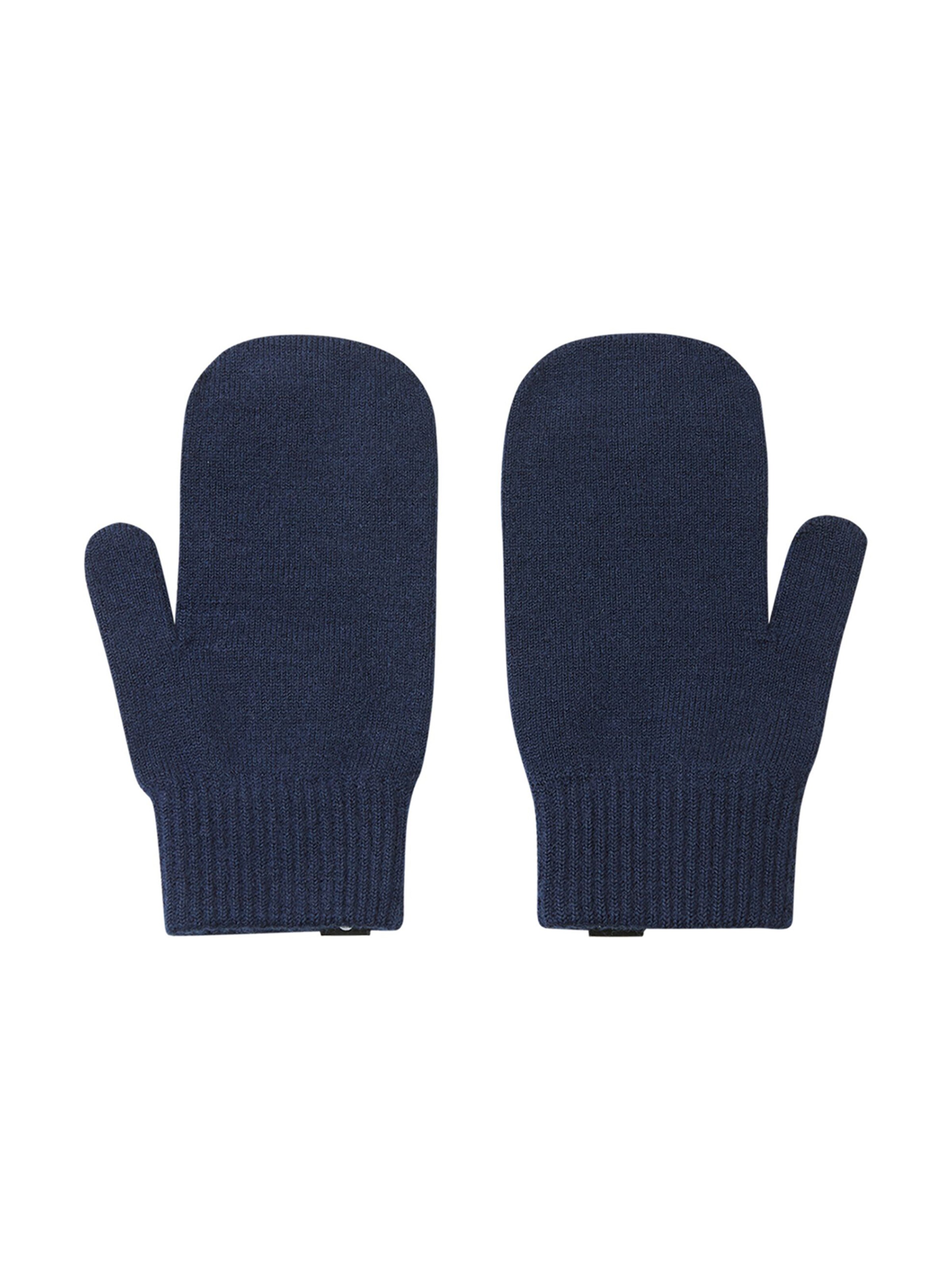 Reima Handschoenen in Blauw