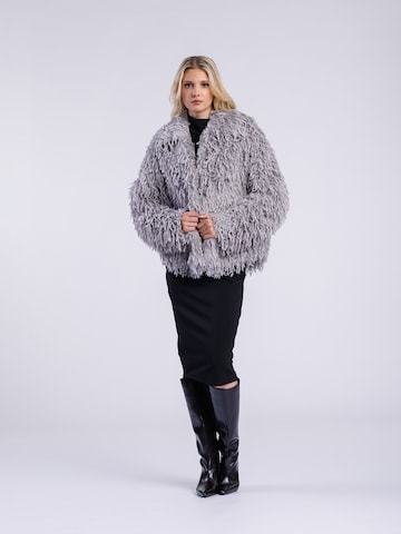 Giacca di mezza stagione di FREAKY NATION in grigio