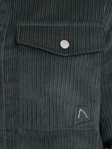 CHASIN' Regular fit Overhemd 'Porter' in Groen