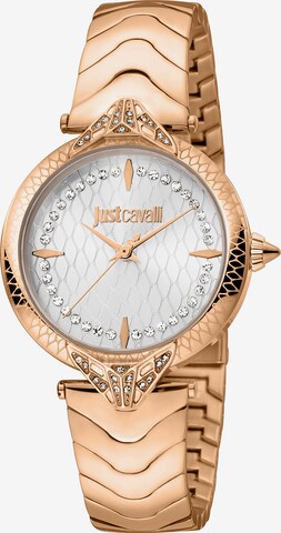 Just Cavalli Time Uhr in Gold: predná strana