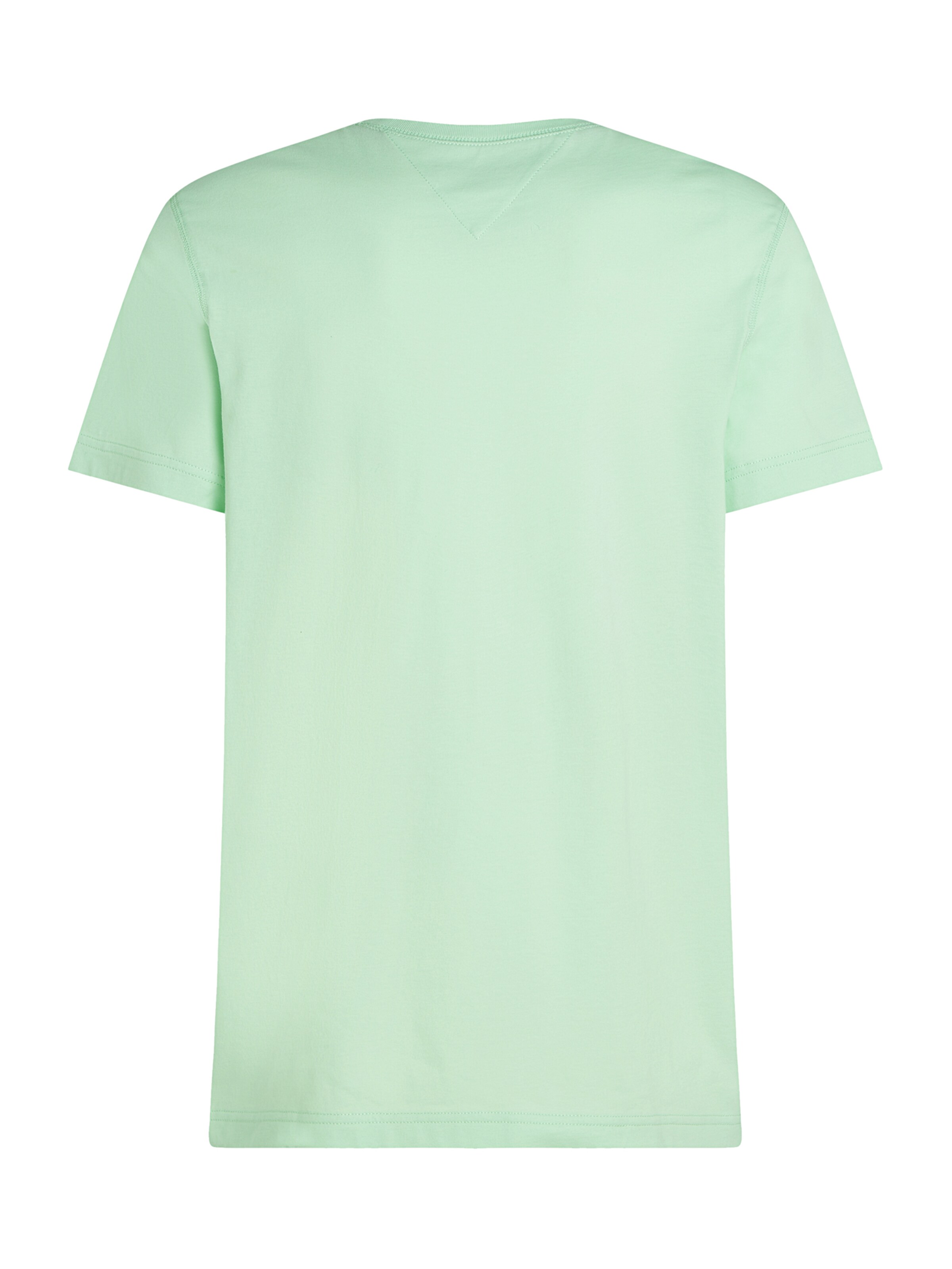 zaļš TOMMY HILFIGER T-Krekls 'SUMMER'