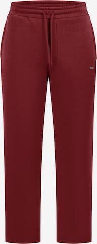 Smilodox Pants in Red: front