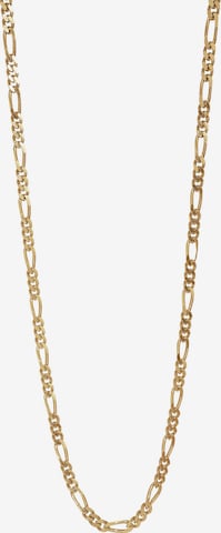 Nordahl Jewellery Kette 'Figaro52' in Gold: predná strana