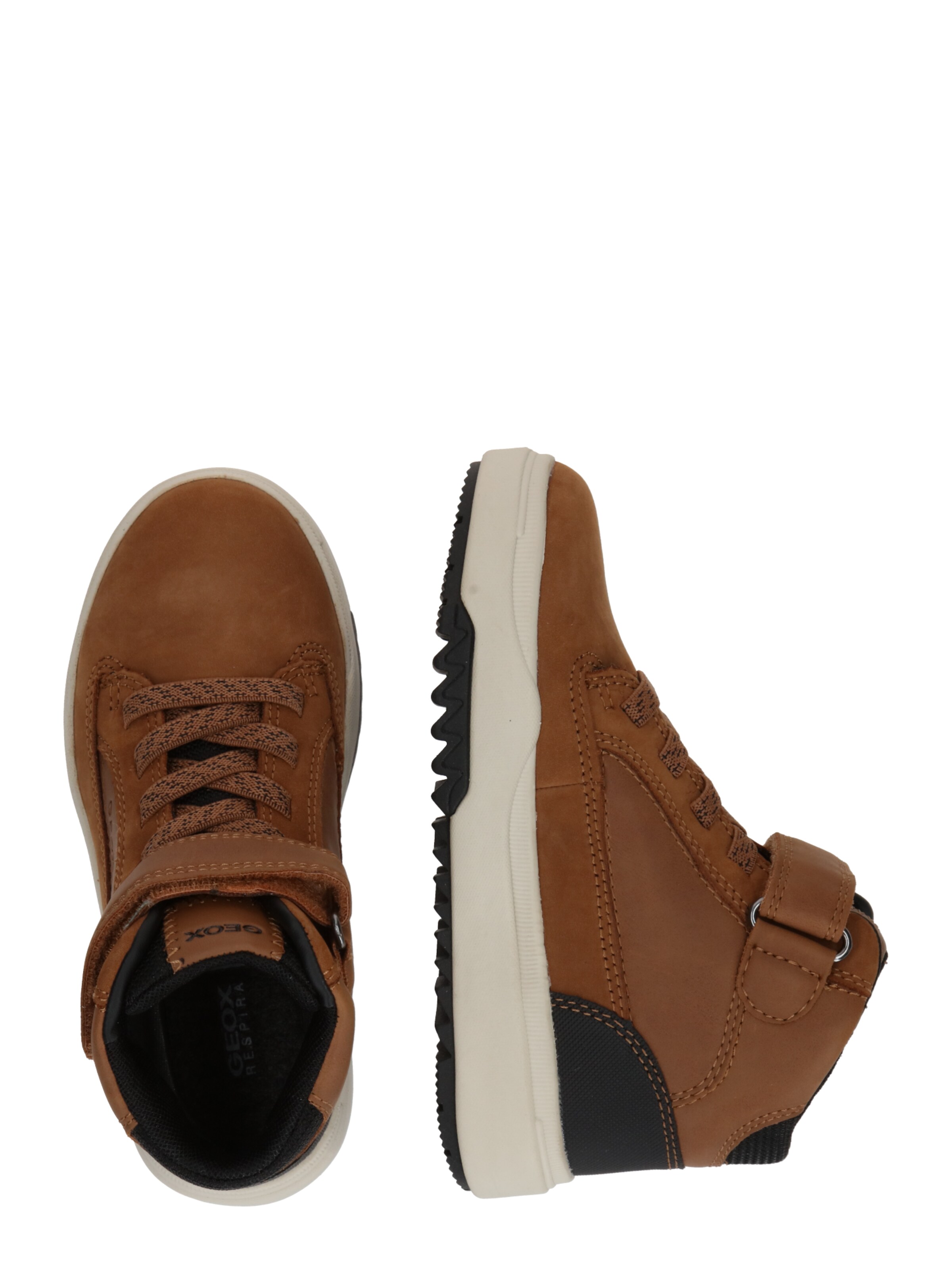 GEOX Stiefel in Braun