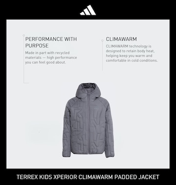 Giacca per outdoor 'Xperior' di ADIDAS TERREX in grigio