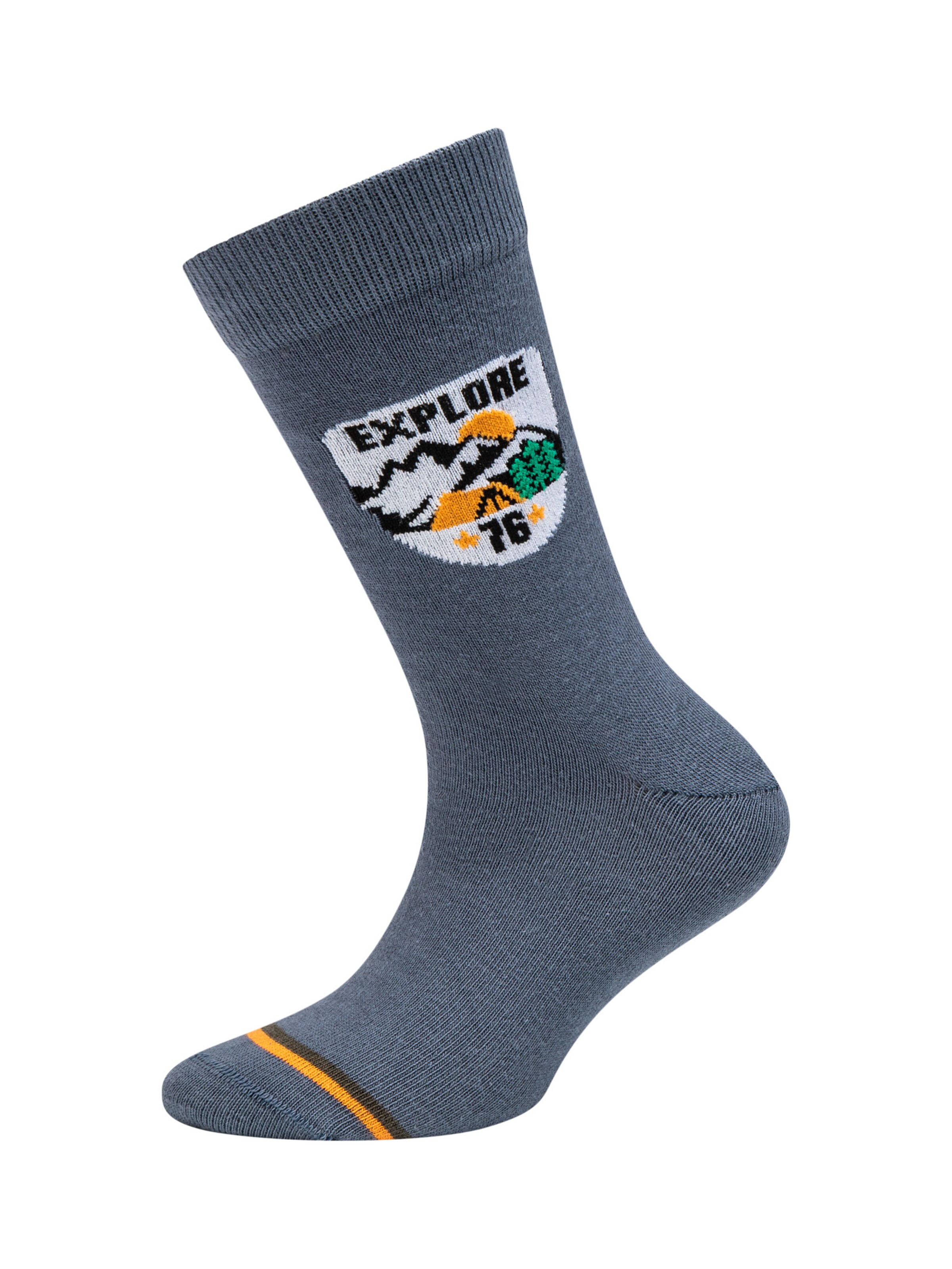 camano Socks in Mixed colors