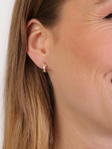 Lucardi Earrings in Gold
