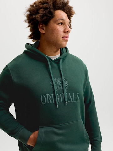 JACK & JONES Sweater in Green