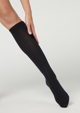 CALZEDONIA Knee High Socks in Blue: front