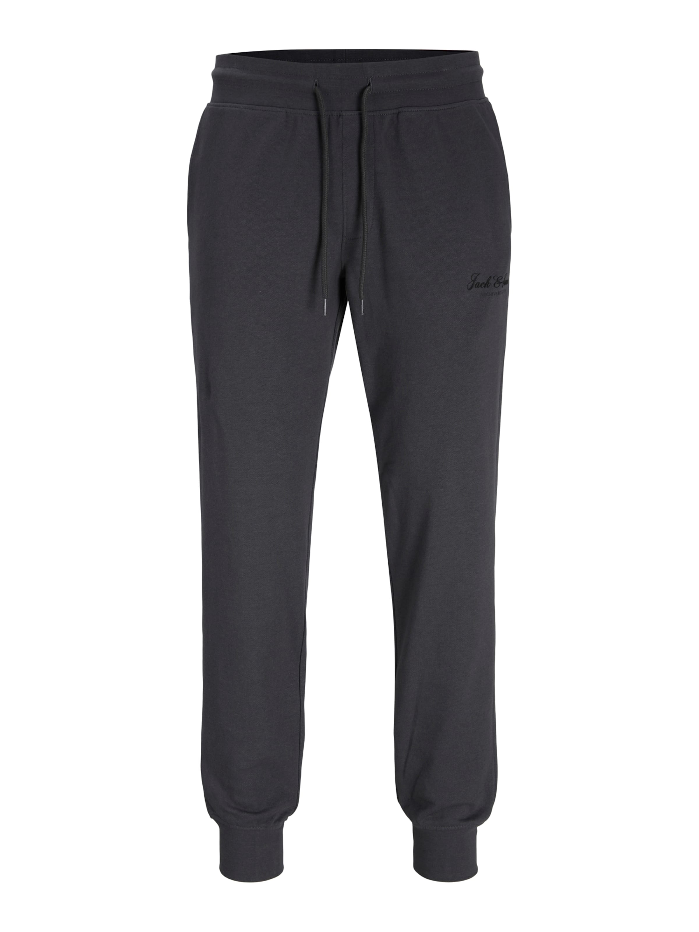 Jack & Jones Plus Pants 'JPSTGORDON' in Grey: front