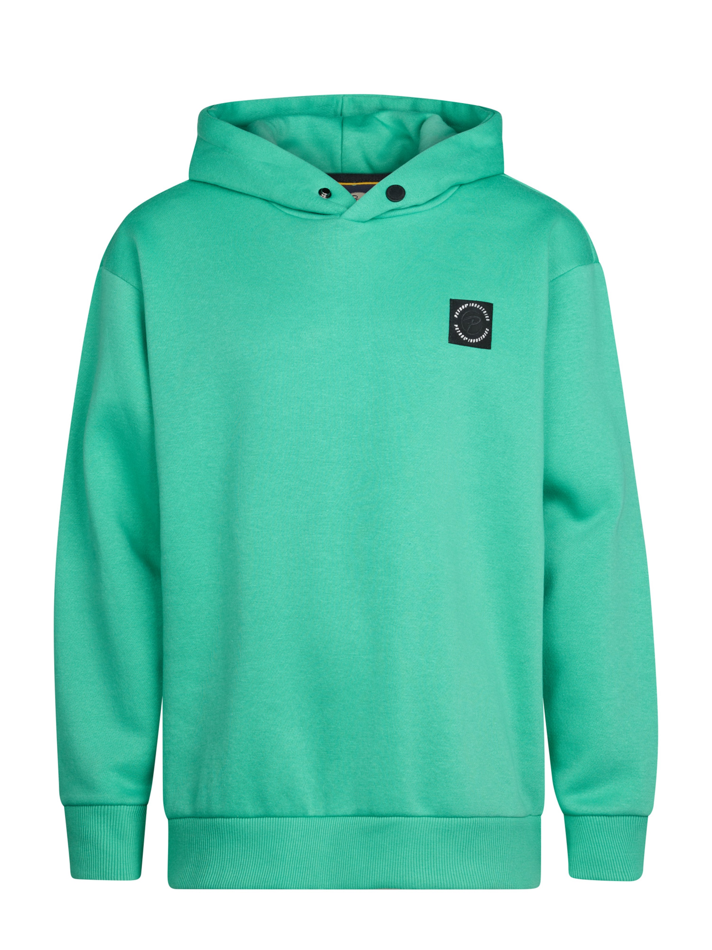 Petrol Industries Sweatshirt in Groen: voorkant