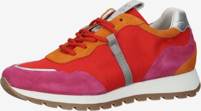PostXChange Sneaker in orange / fuchsia / rot / silber, Produktansicht