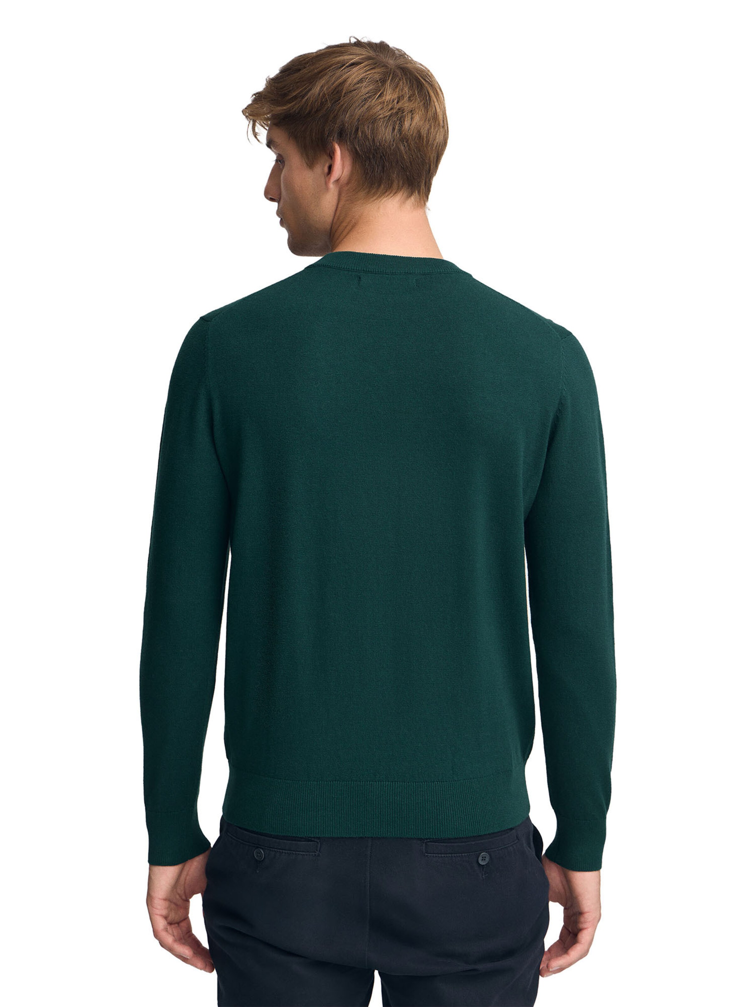 Polo Club Pullover in Grün