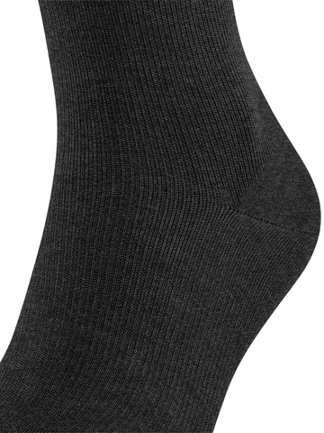 FALKE Knee High Socks 'Energizing Wool' in Grey