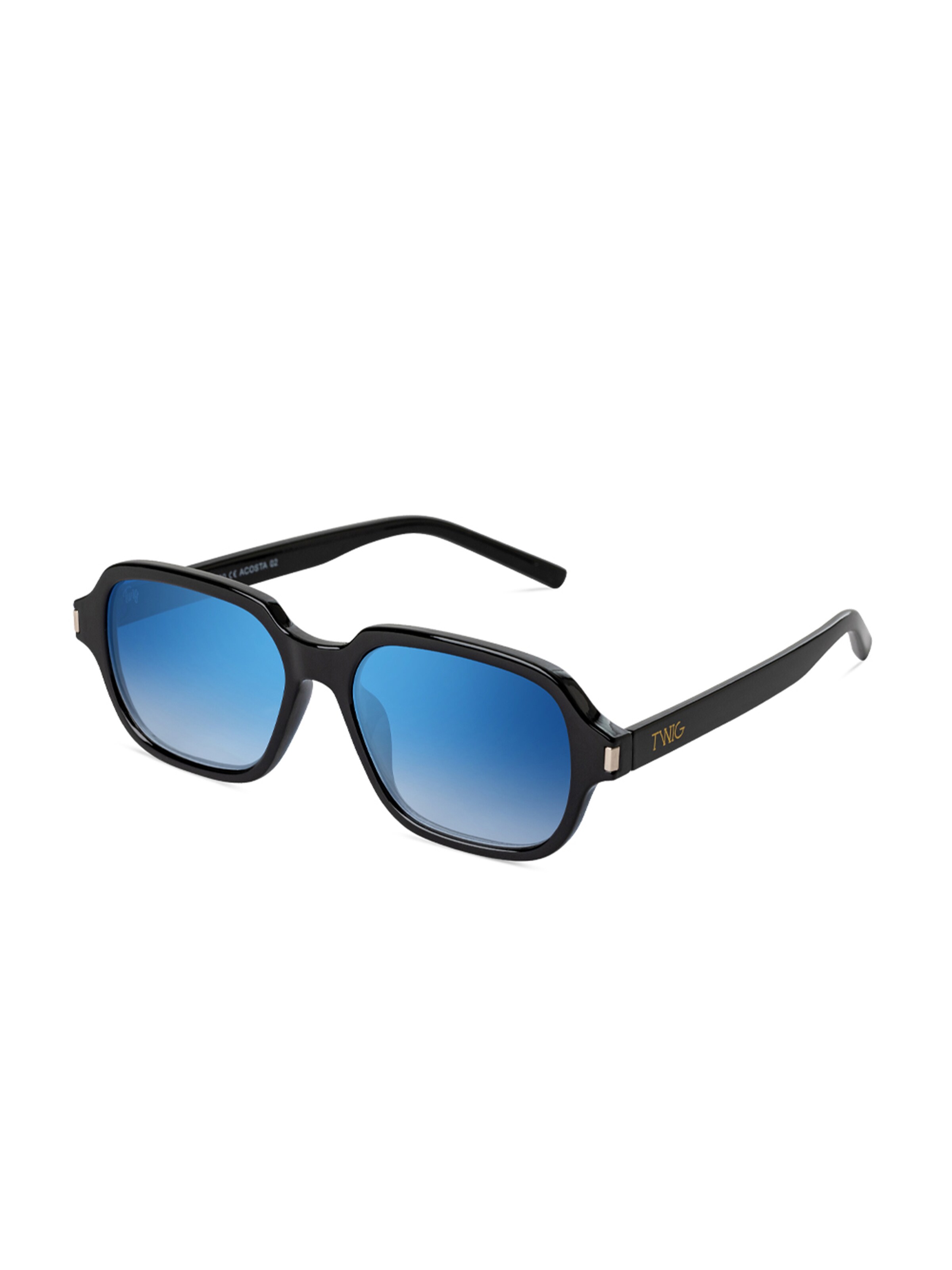 TWIG Concept Milano Sunglasses 'Acosta' in Blue
