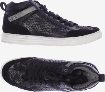 Soccx Sneakers & Trainers in 40 in Black: front
