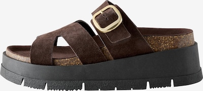 Next Natikače s potpeticom u čokolada, Pregled proizvoda