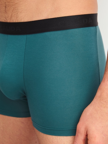 CALIDA - Boxers em verde