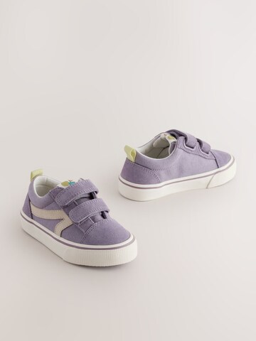 Baskets Next en violet