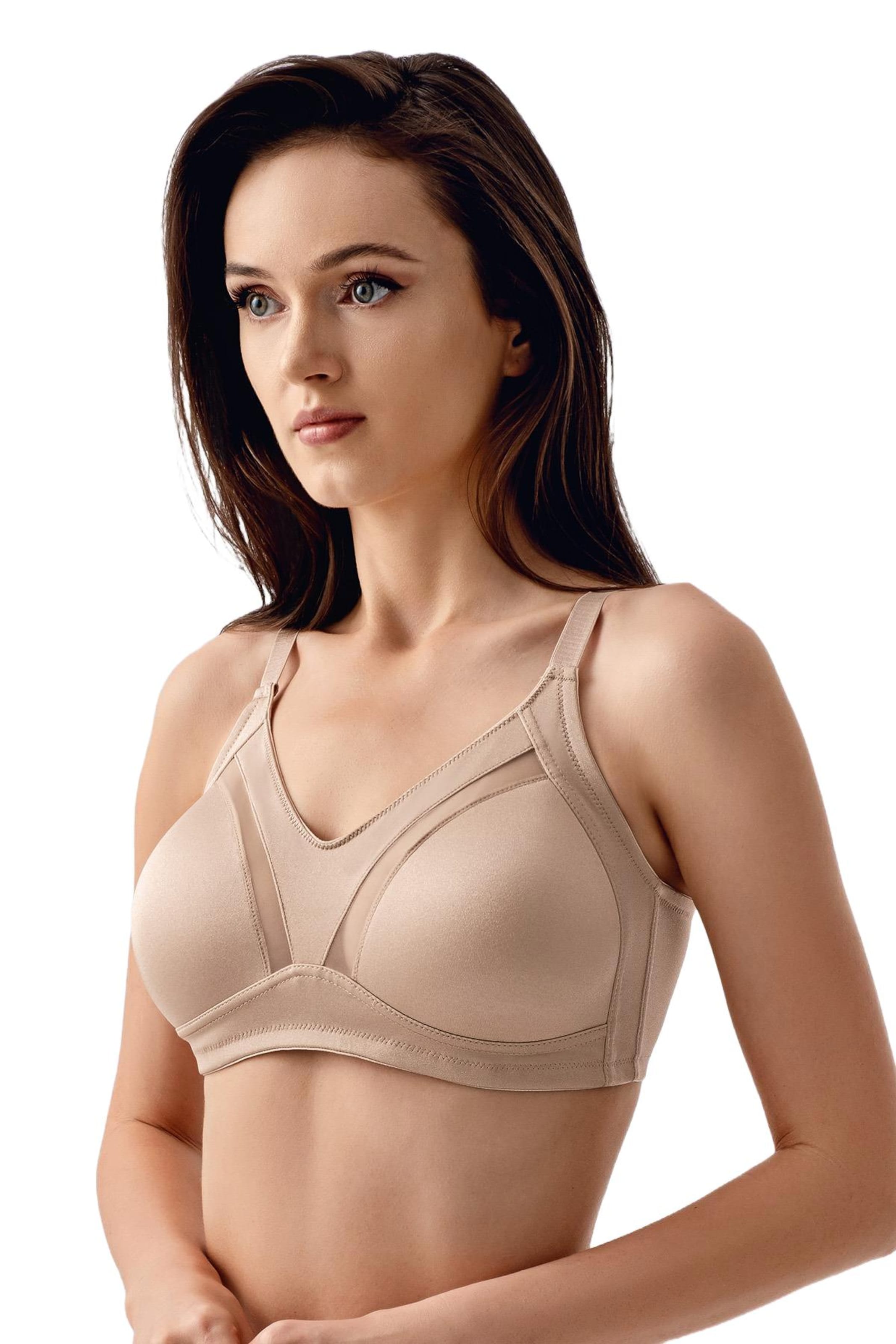 C&City Minimizer BH in Bruin