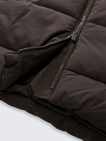 TOM TAILOR Winterjacke in Schwarz