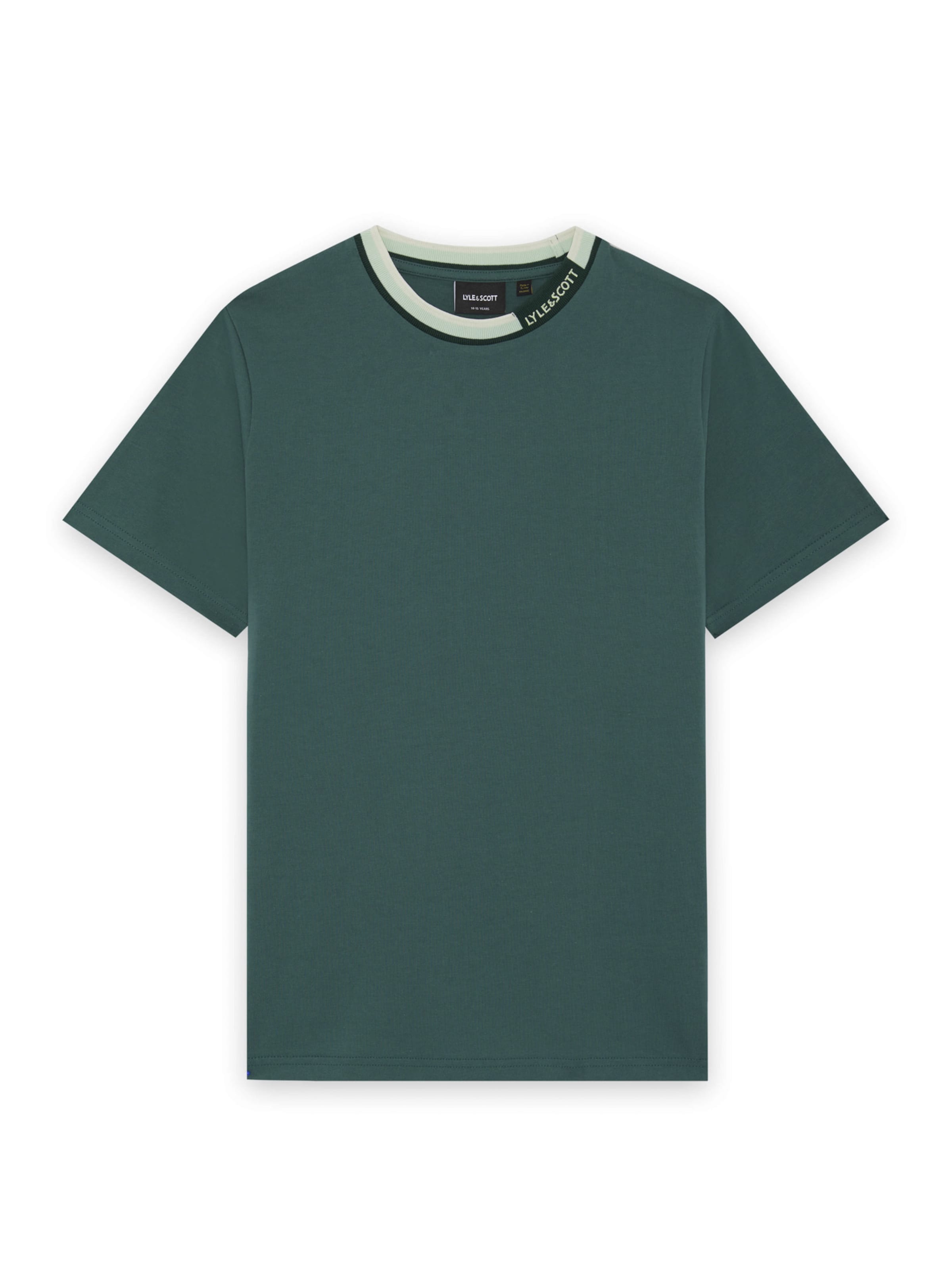 Lyle & Scott Shirt in Emerald / Mint / Fir, Item view
