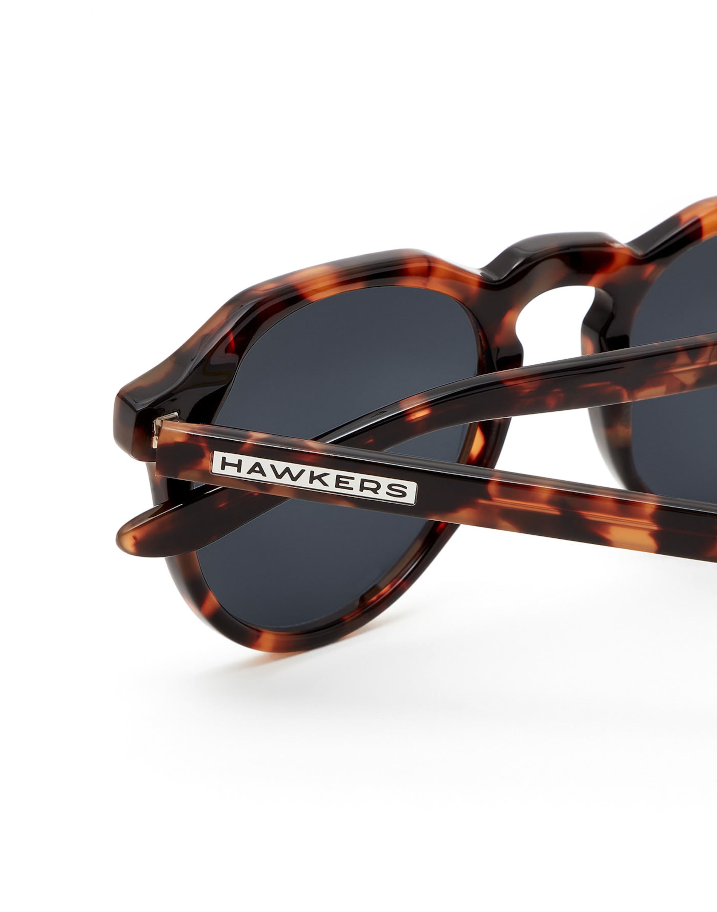 HAWKERS Sunglasses 'WARWICK X' in Brown
