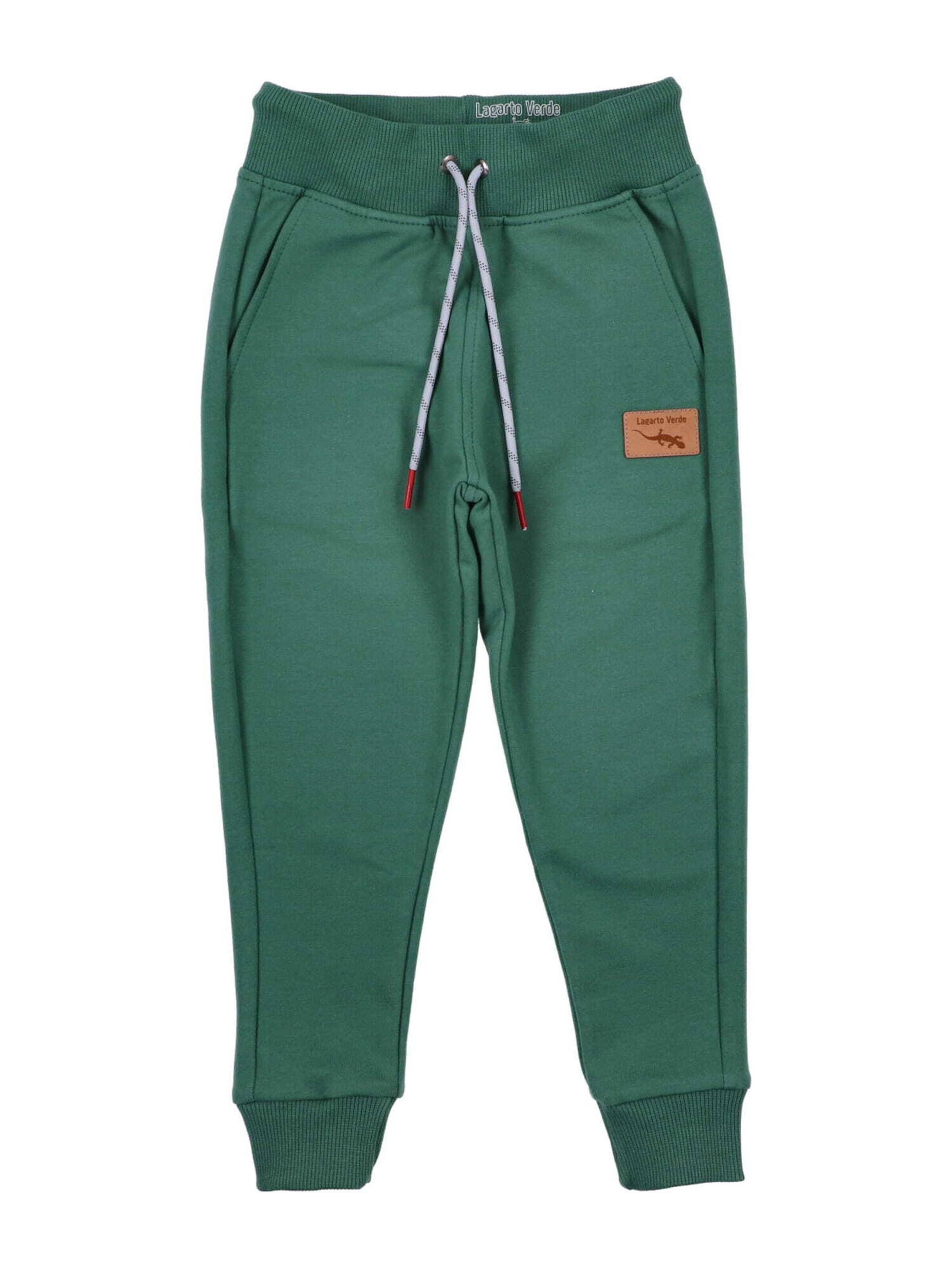 Lagarto Verde Broek in Groen: voorkant