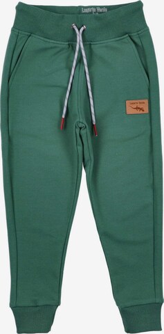 Lagarto Verde Trousers in Green: front