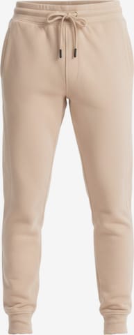 Ombre Broek in Beige: voorkant