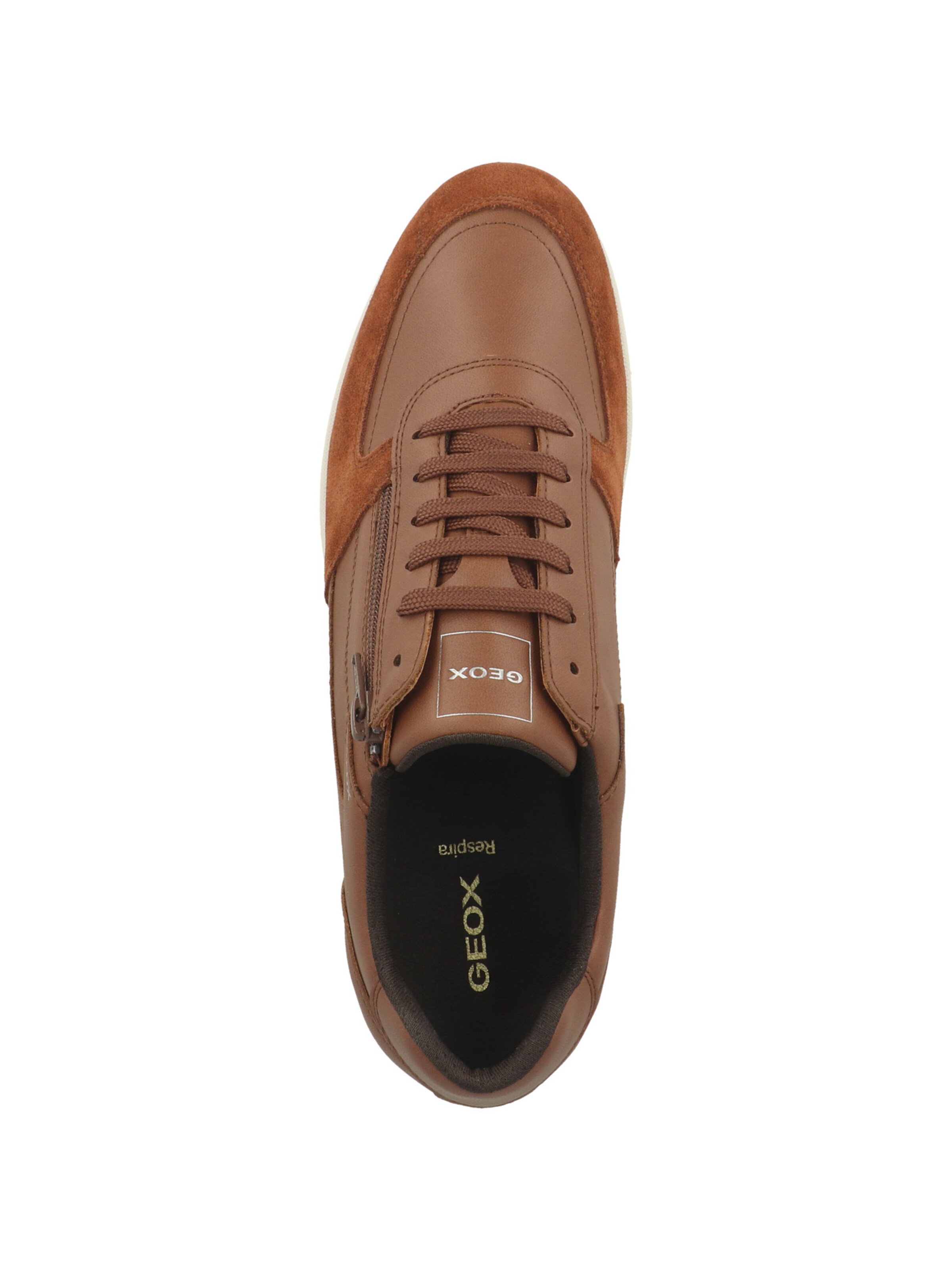 Scarpa stringata sportiva 'U Avery A' di GEOX in marrone