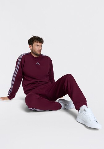 ADIDAS SPORTSWEAR Tapered Pants in Red