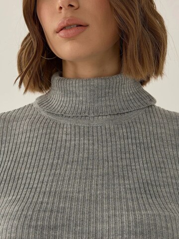 Hiccup Pullover in Grau