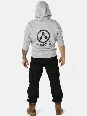 Molecule Sweatshirt i grå: forside