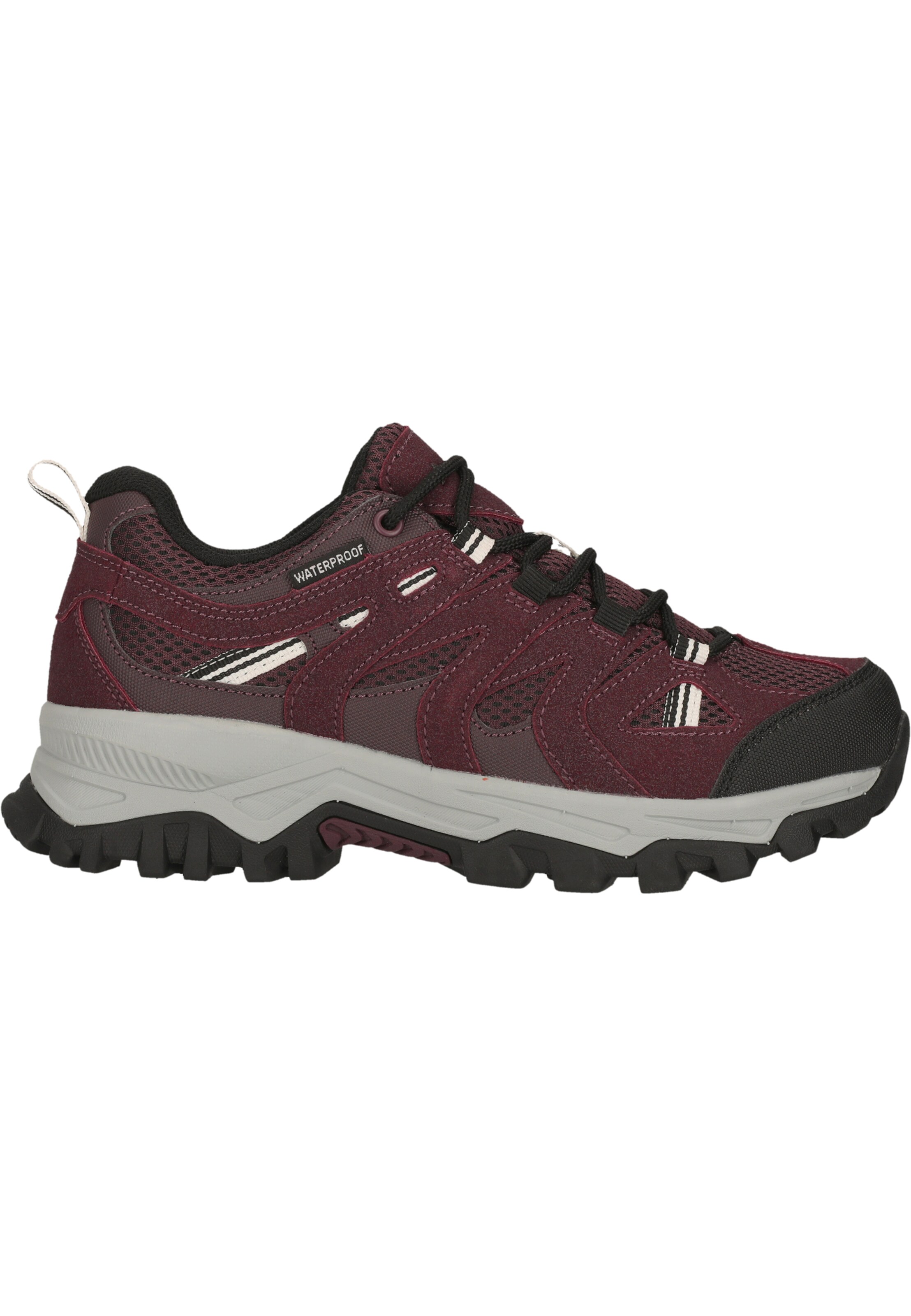 Whistler Wanderschuhe 'Terx' in Rot