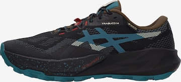 ASICS Laufschuh 'TRABUCO 14' in Schwarz: Vorderseite