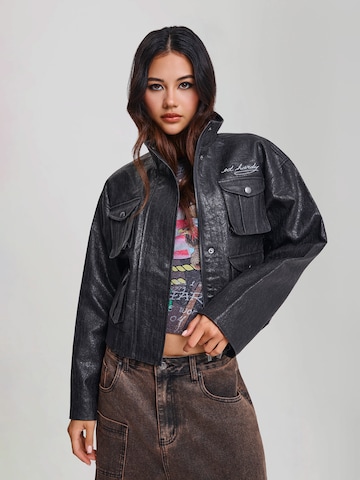 Ed Hardy - Chaqueta de invierno en gris: frente