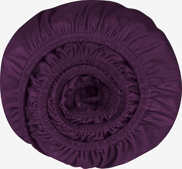 SCHIESSER Bed Sheet 'Flexi' in Purple: front