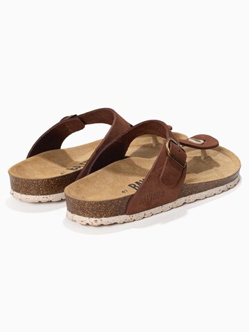 Bayton Žabky 'Mercure' – hnědá