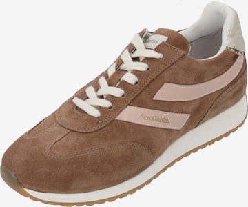 Sneaker bassa di Nero Giardini in marrone: frontale