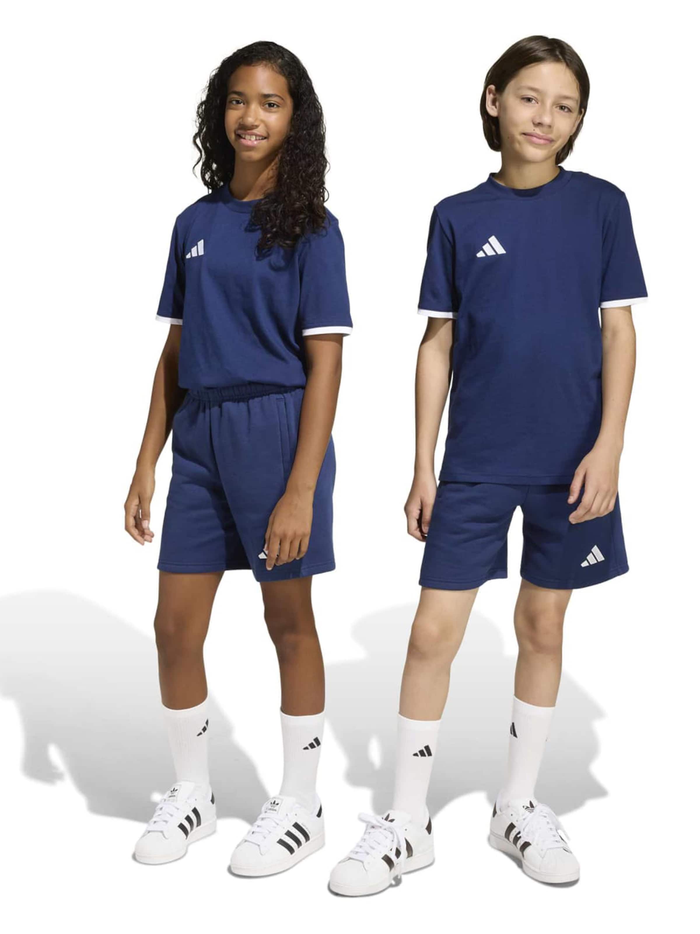 ADIDAS PERFORMANCE regular Παντελόνι φόρμας 'ENT26' σε μπλε