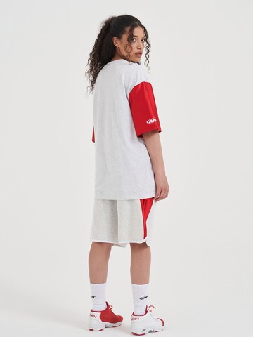 AND1 T-Shirt in Grau