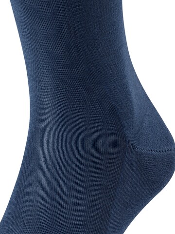 FALKE Knee High Socks 'Tiago' in Blue