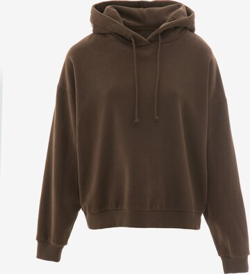 BIG STAR Sweatshirt 'Meganer' in Brown: front