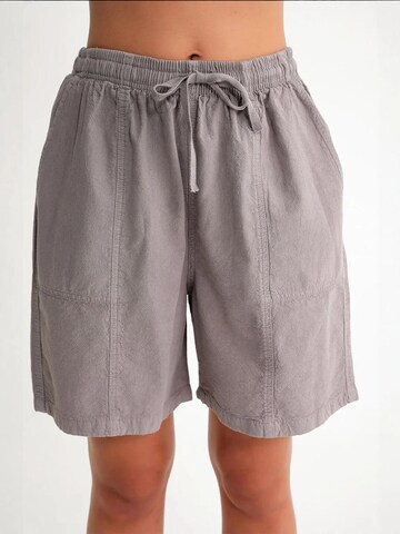 MixRay Regular Broek in Grijs: voorkant