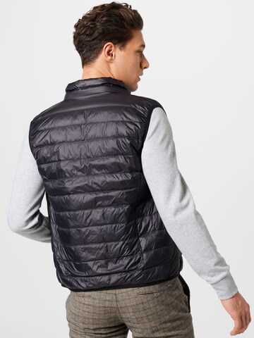 EA7 Emporio Armani Bodywarmer in Zwart